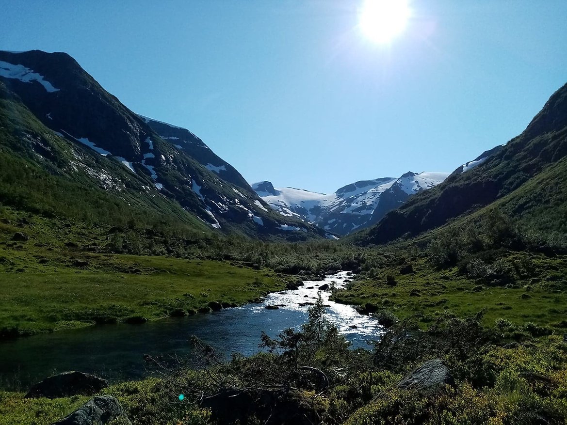 Utsikt innover mot Laugi